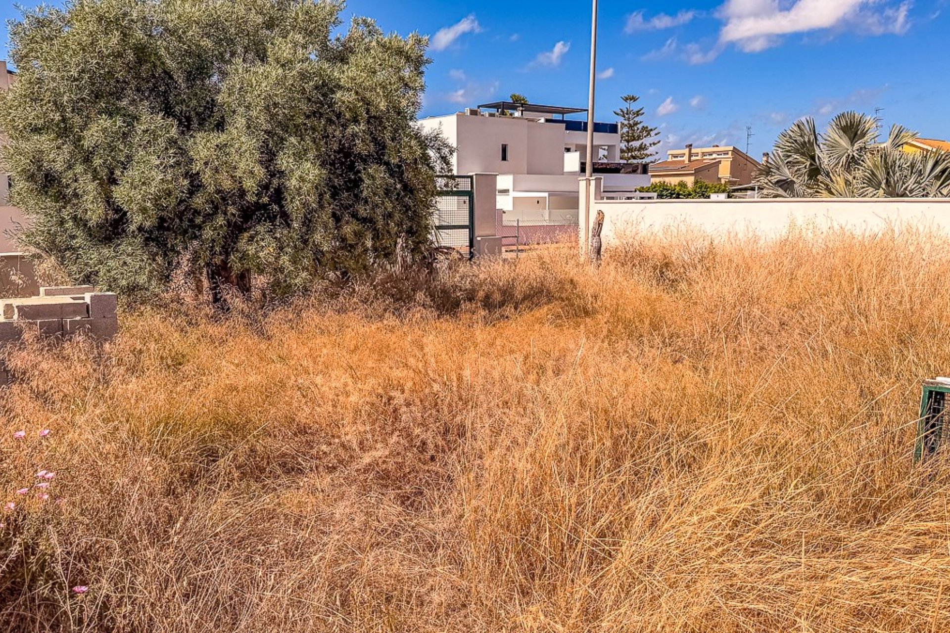 Reventa - Parcela / Terreno -
SANTIAGO DE LA RIBERA - zona san blas