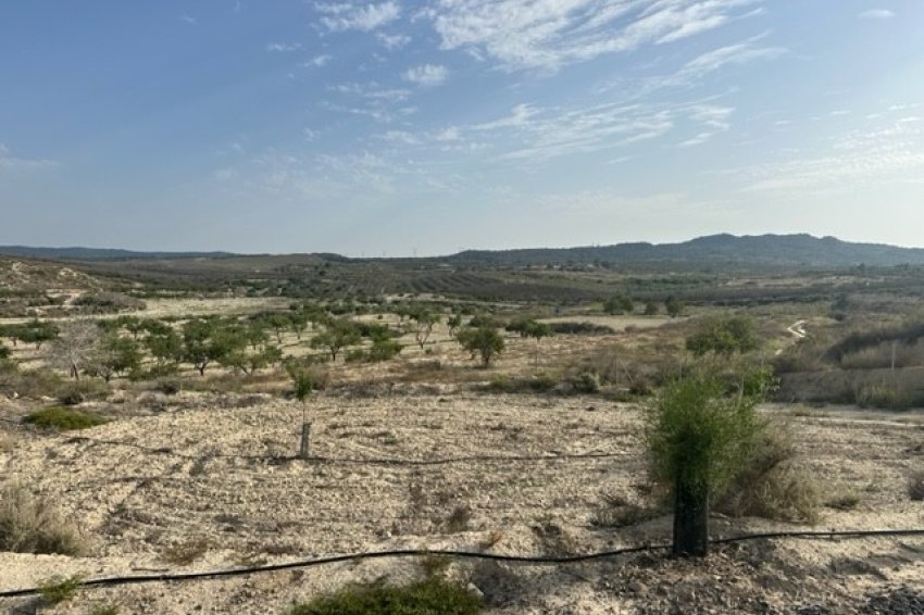 Reventa - Parcela / Terreno -
Torremendo