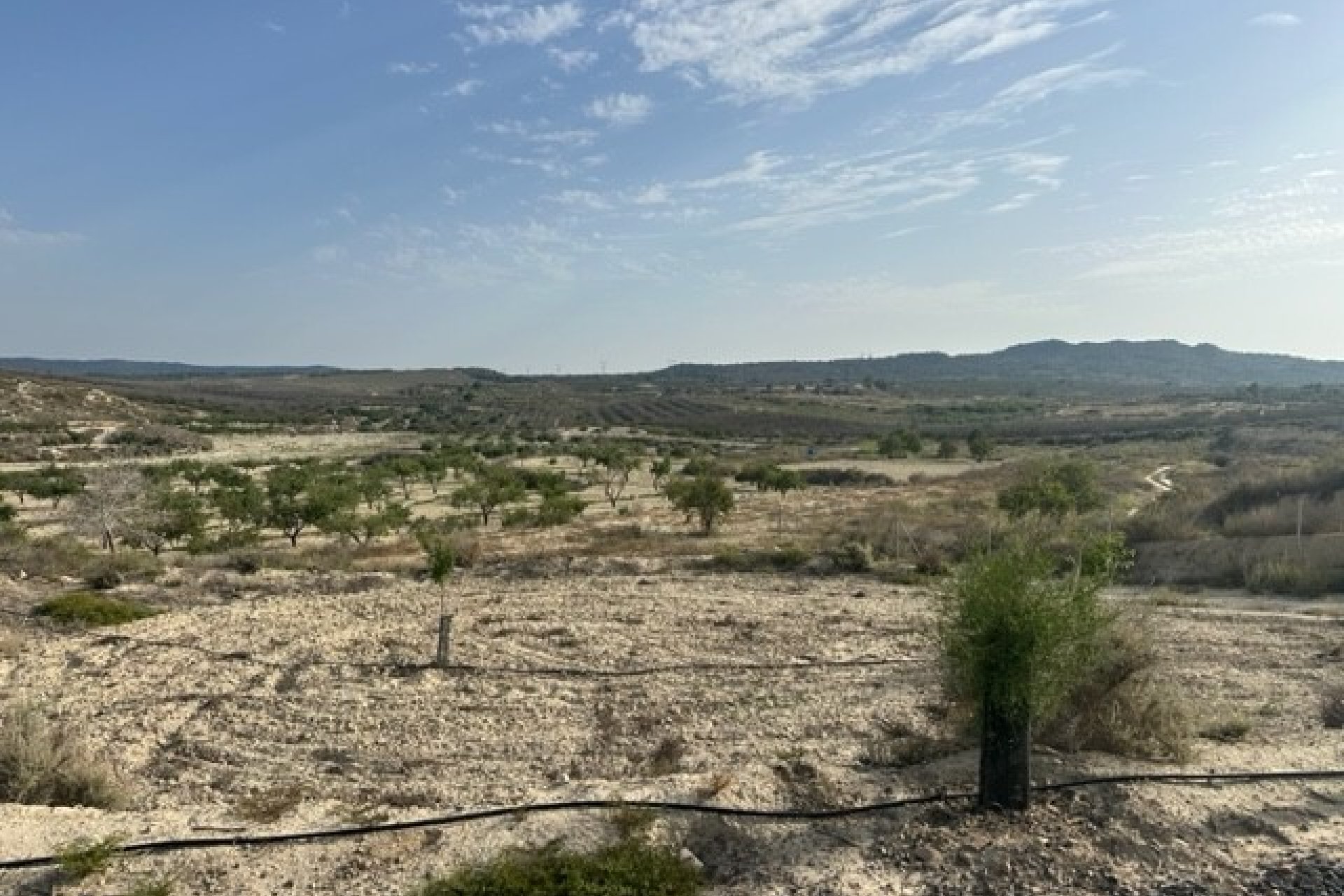 Reventa - Parcela / Terreno -
Torremendo