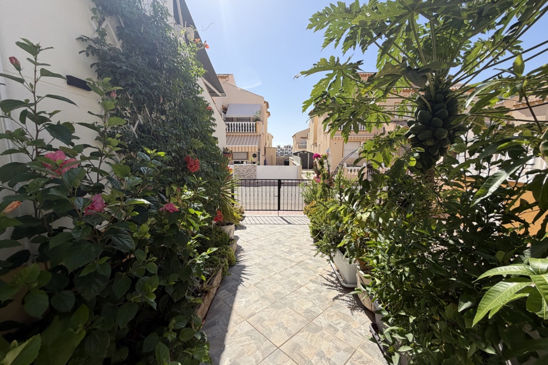 Reventa - Quad House -
Los Altos