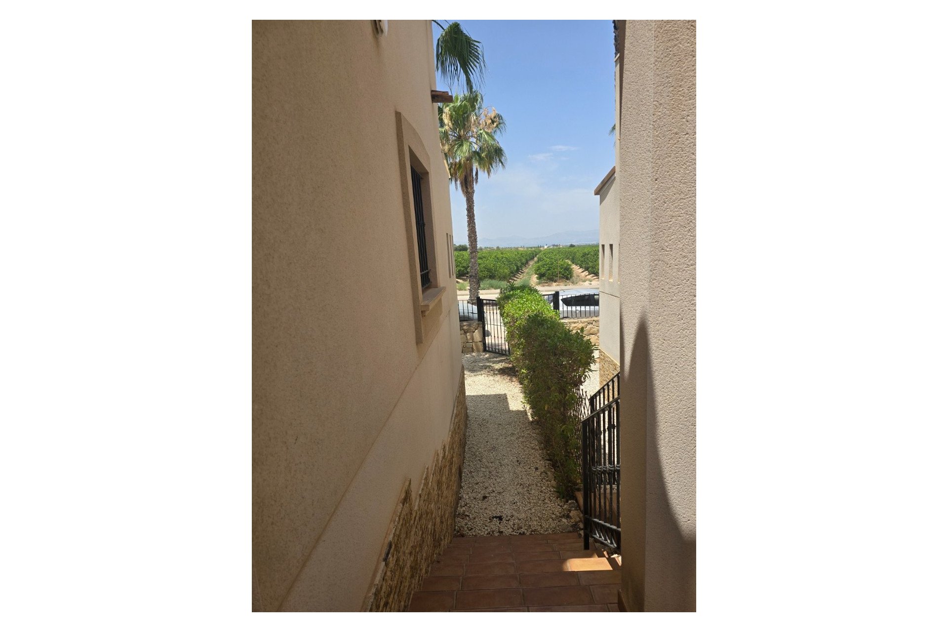 Reventa - Semi detached -
Algorfa - La Finca Golf Resort