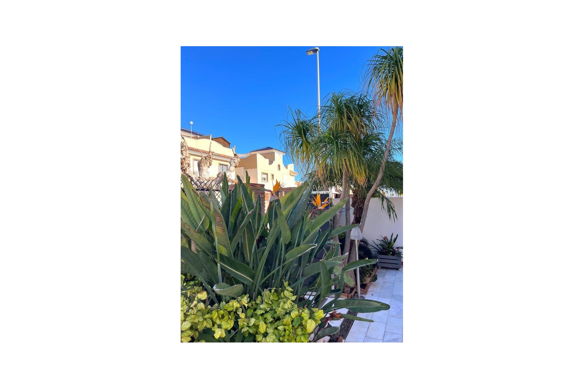 Reventa - Semi detached -
Torre de la Horadada - Costa Blanca