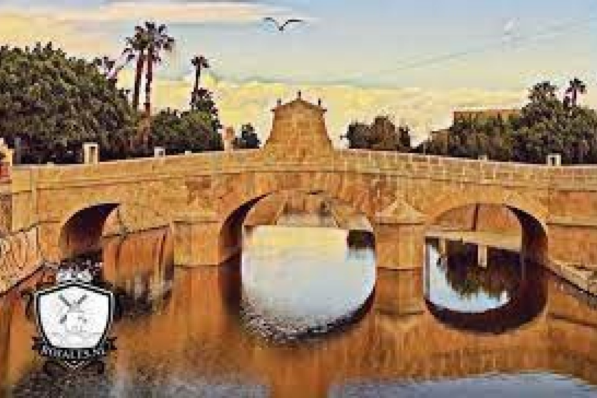 Reventa - Solar -
Rojales - Centro