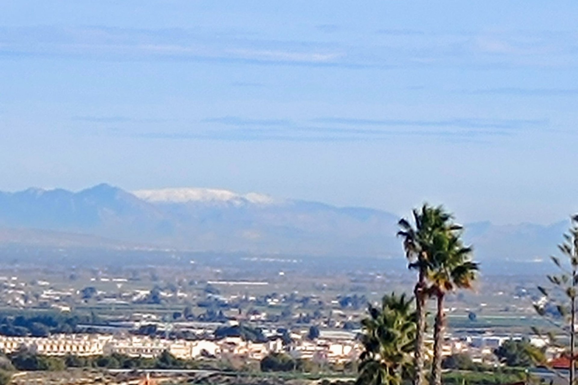 Reventa - Villa -
Algorfa - Lomas de Juliana