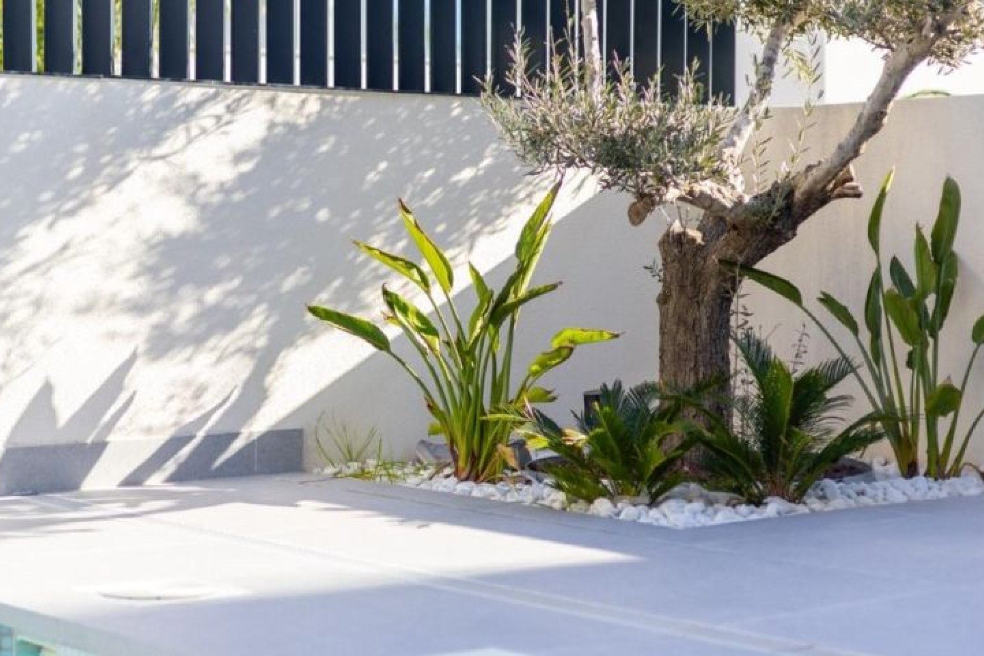 Reventa - Villa -
Algorfa