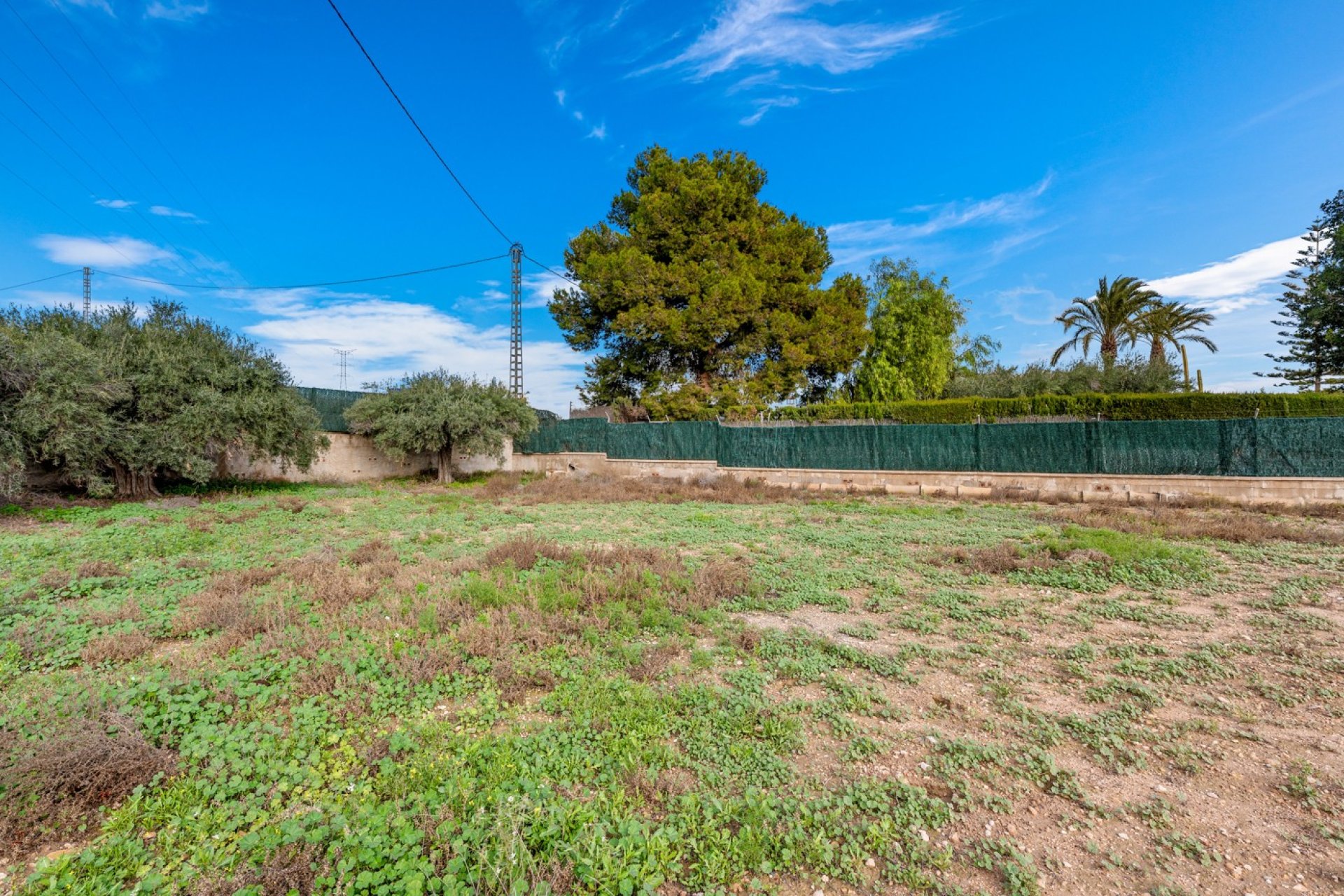 Reventa - Villa -
Elche - Elche/Elx