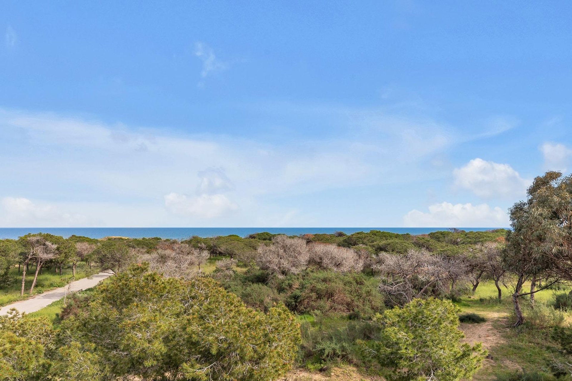 Reventa - Villa -
Guardamar del Segura - Urbanizaciones