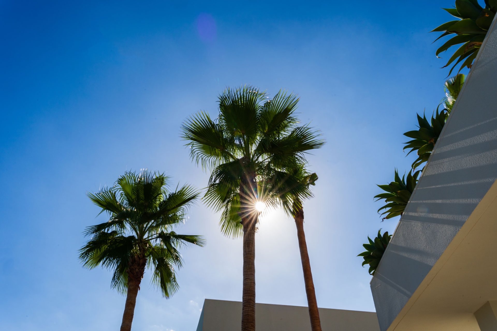 Reventa - Villa -
Las Colinas Golf