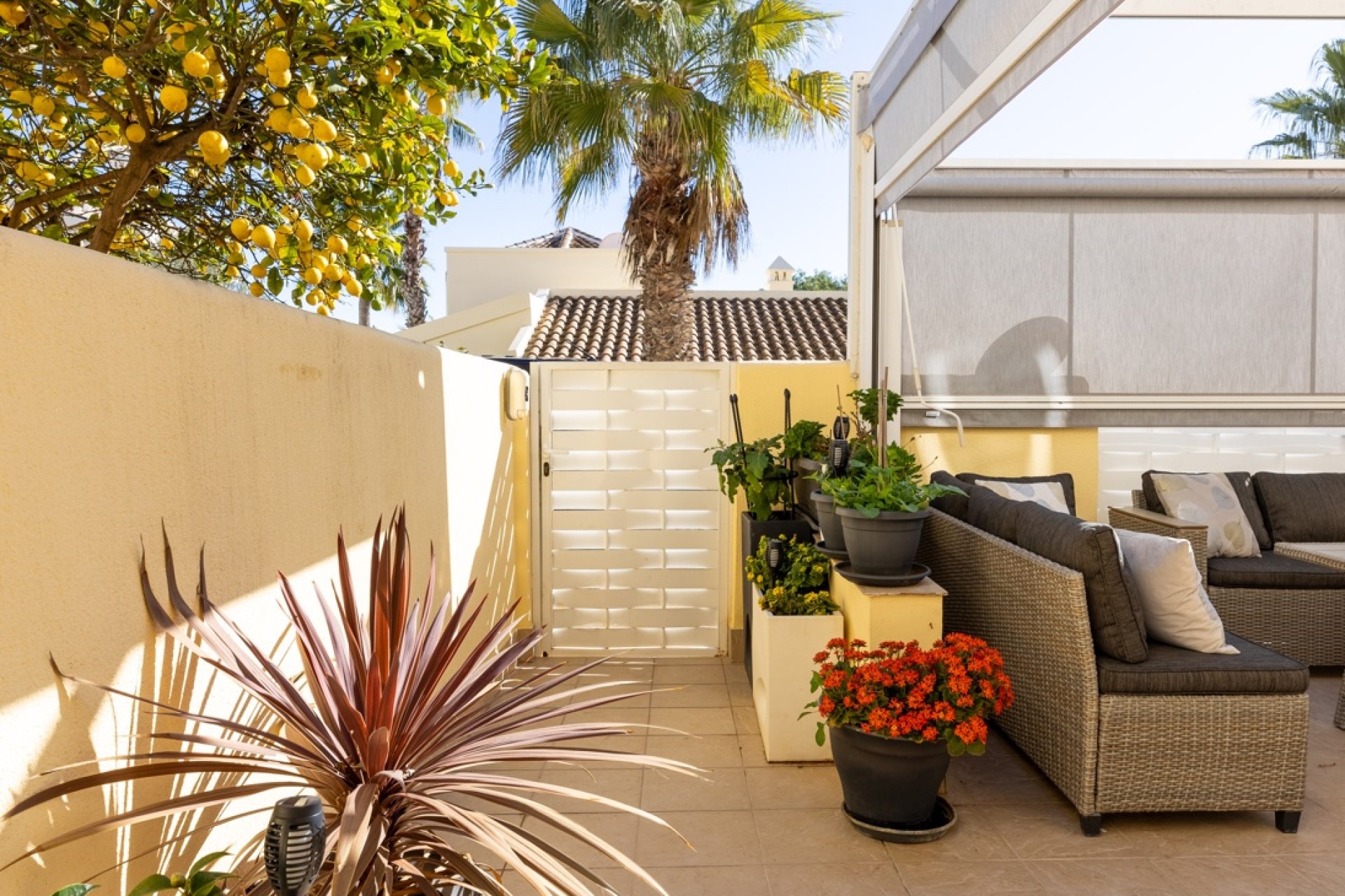 Reventa - Villa -
Las Ramblas