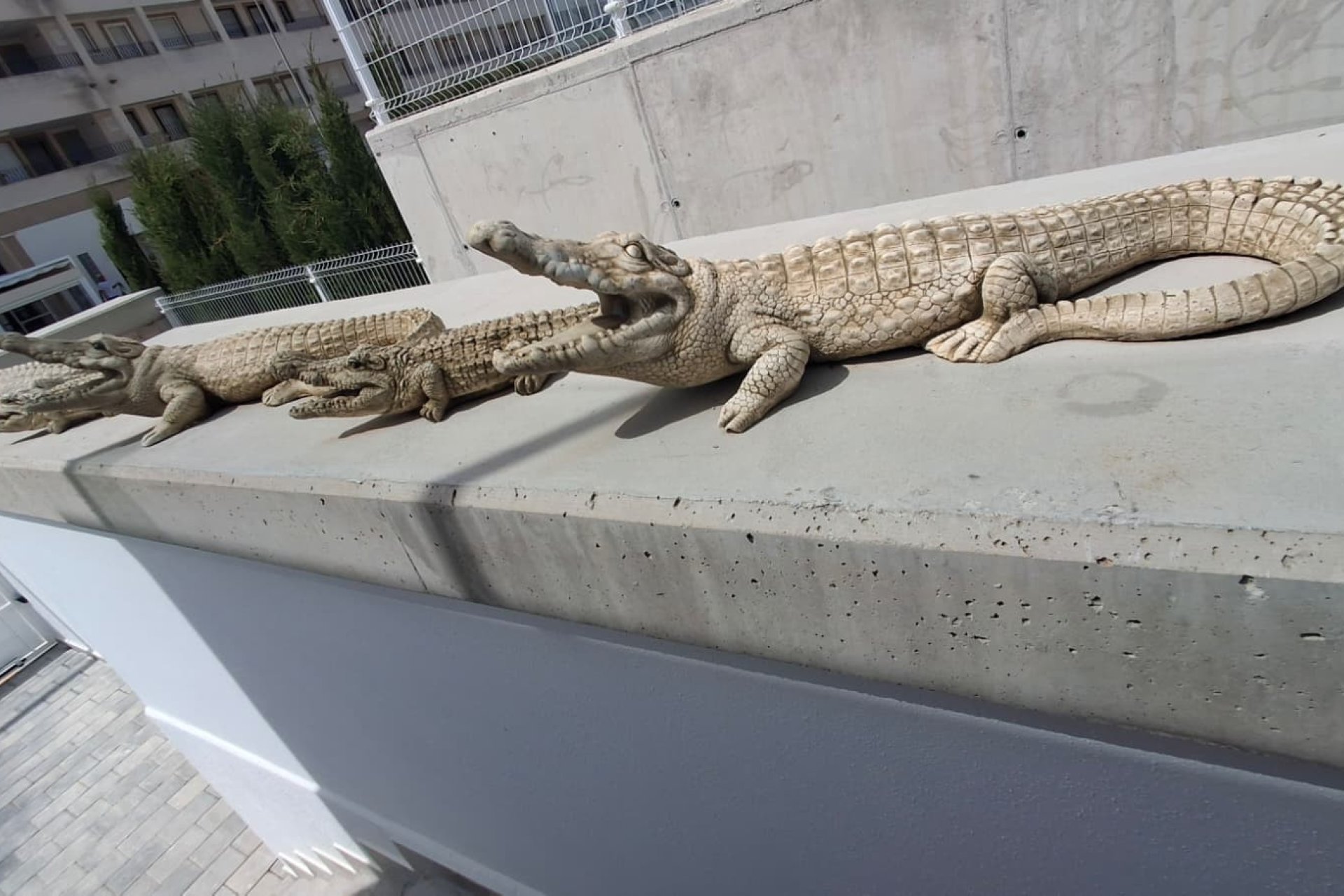 Reventa - Villa -
Orihuela - Entre Naranjos Vistabella Golf