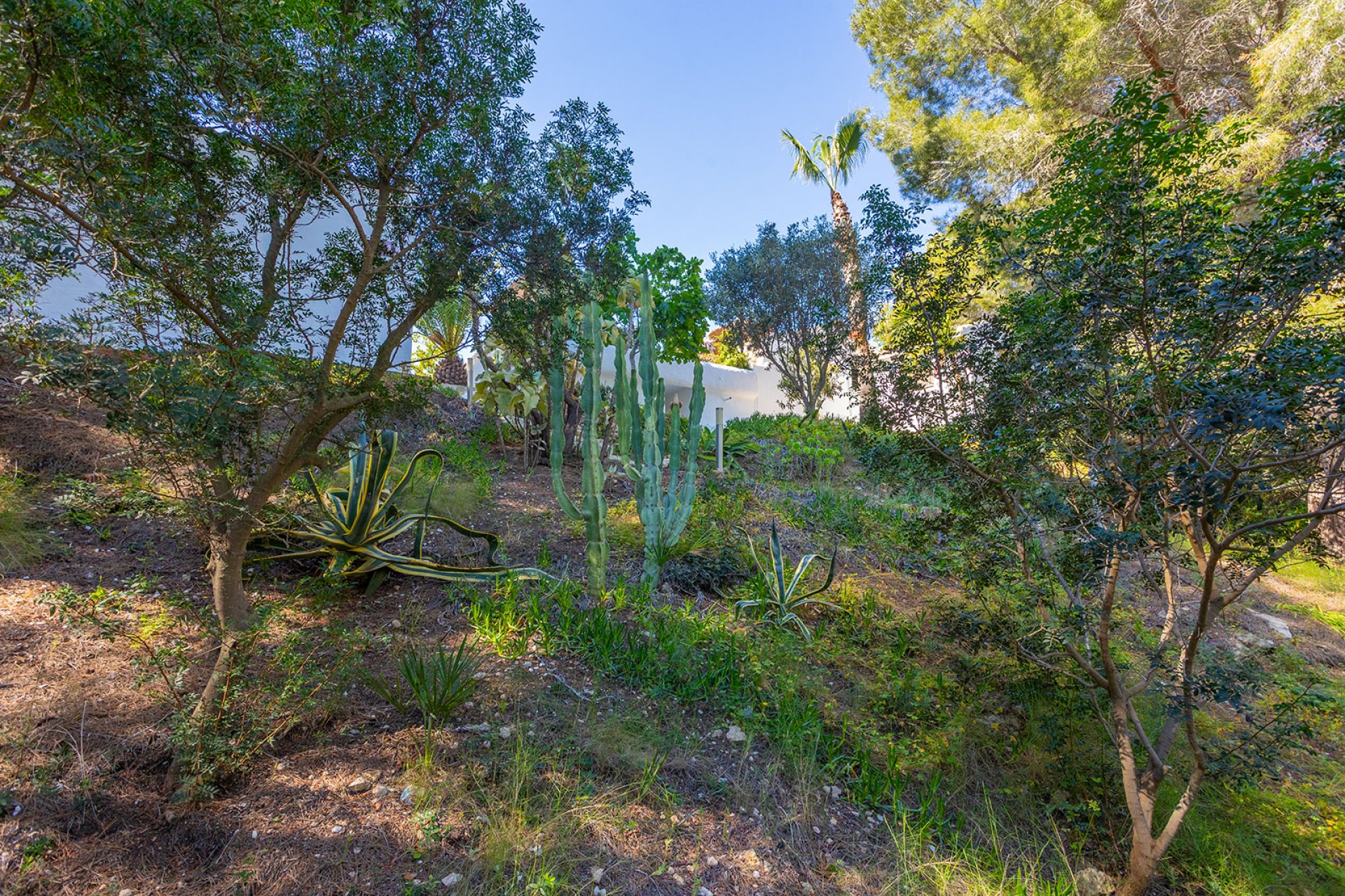 Reventa - Villa -
Orihuela - Orihuela Costa