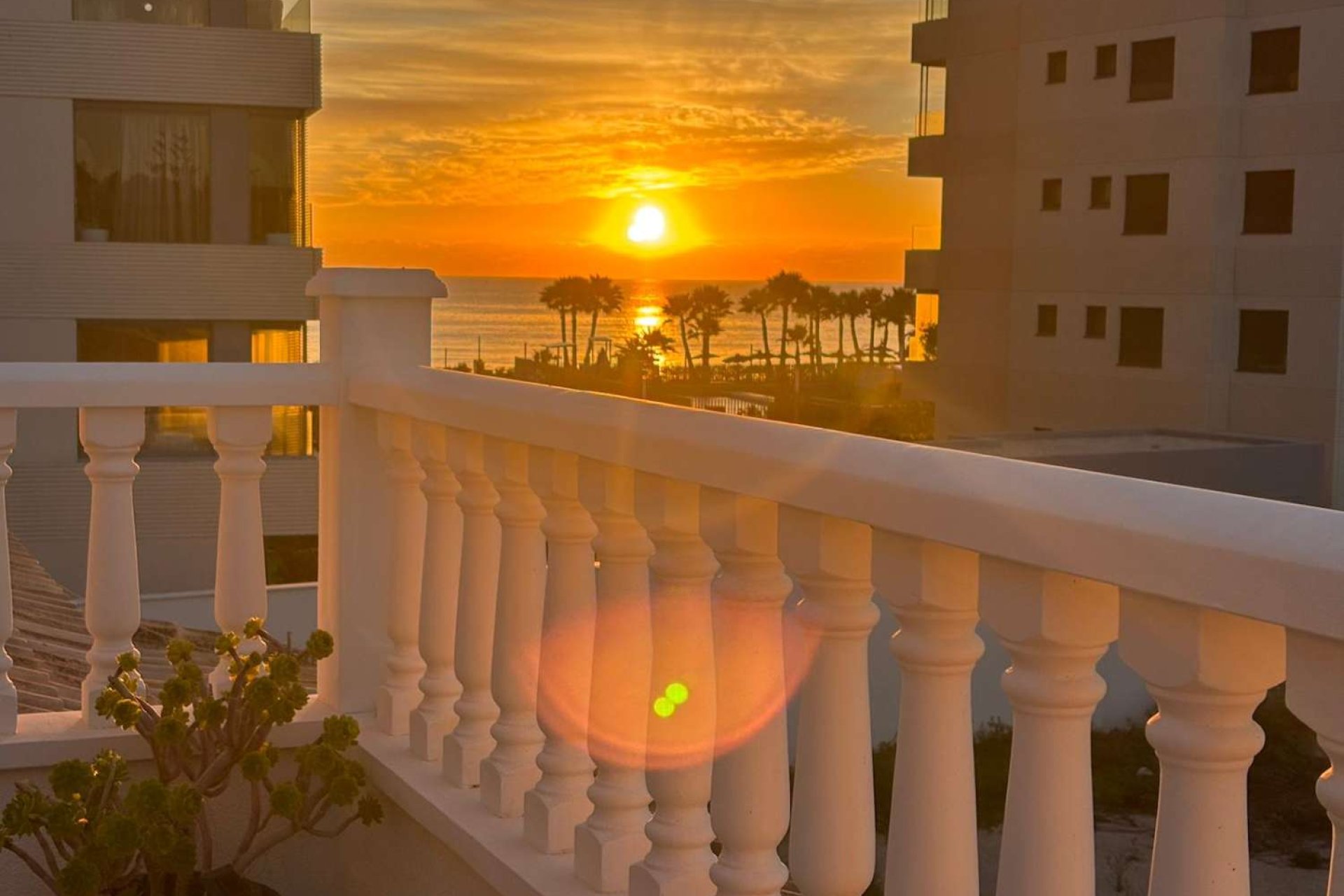 Reventa - Villa -
Orihuela - Punta Prima