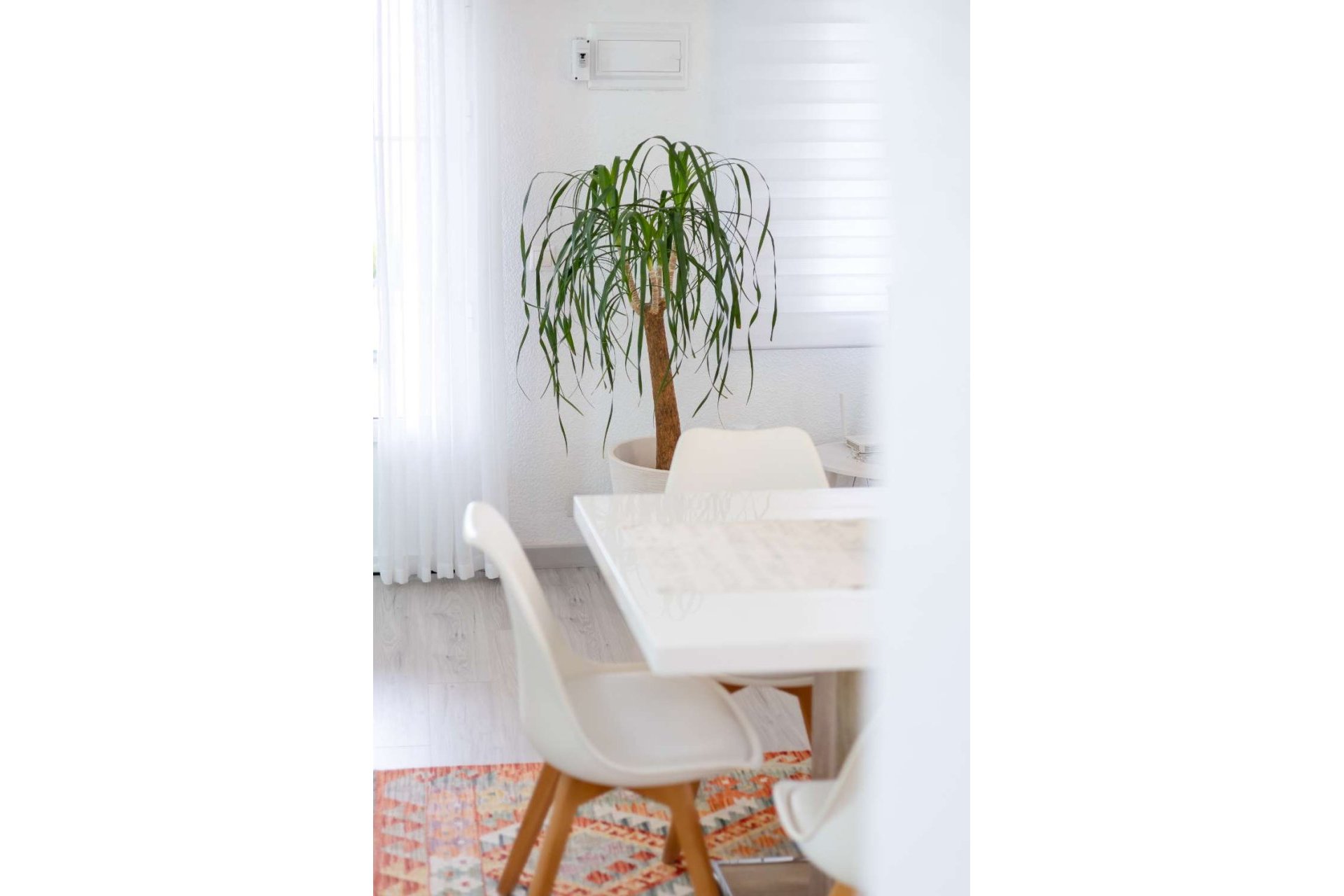 Reventa - Villa -
Orihuela