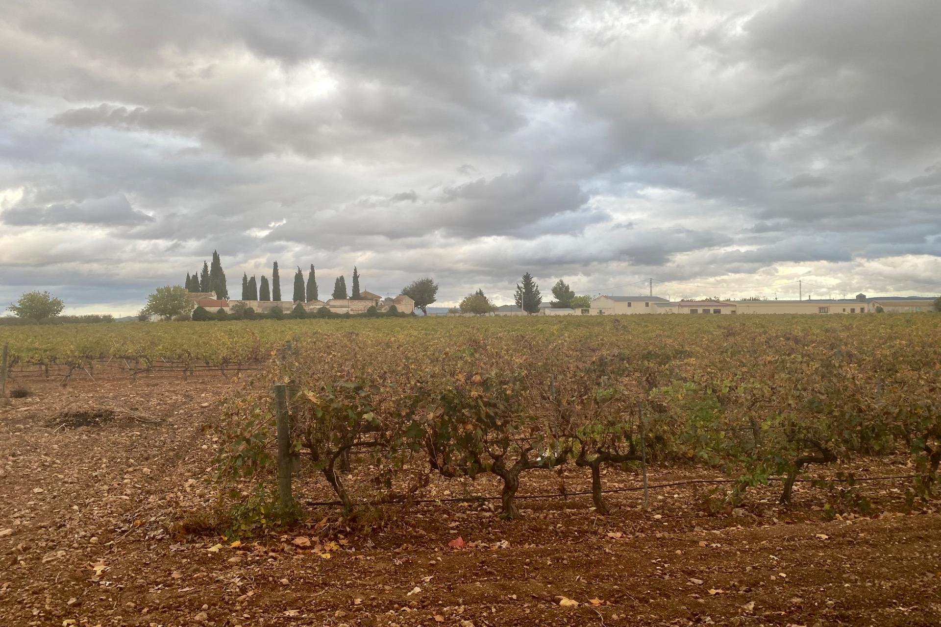 Reventa - wine cellar -
Albacete