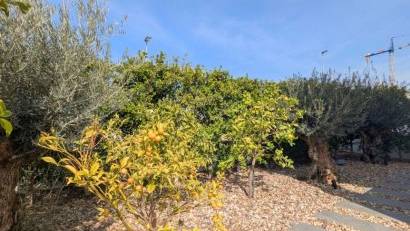 Återförsäljning - Detached villa -
Benijofar