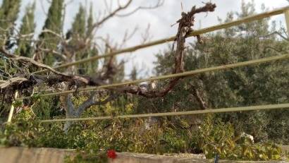 Återförsäljning - Semi detached -
Murcia