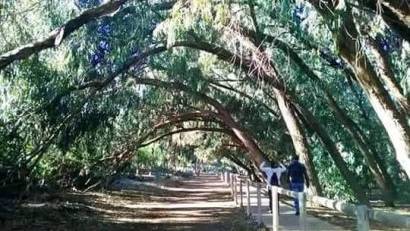 Reventa - Bungalow -
Torrevieja - Torrejón