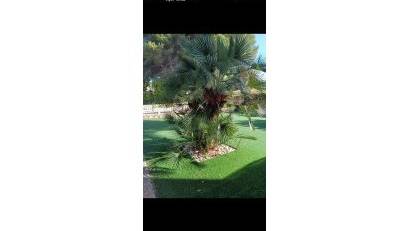 Reventa - Villa -
Campoamor Golf - Campoamor