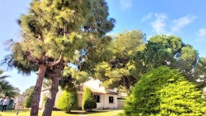 Återförsäljning - Villa -
Torrevieja