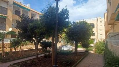Resale - Bungalow -
Torrevieja