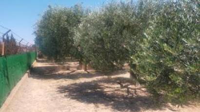 Återförsäljning - Villa -
Elche