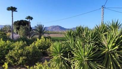 Återförsäljning - Finca -
Orihuela