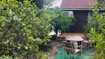 Återförsäljning - Finca -
Orihuela