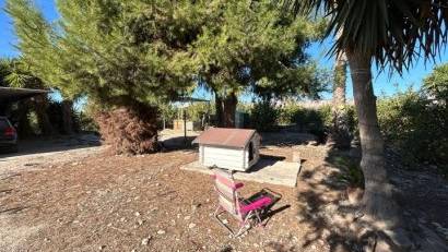 Återförsäljning - Finca -
Orihuela