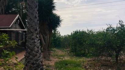 Återförsäljning - Finca -
Orihuela