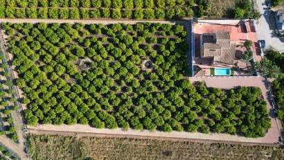 Resale - Villa -
Orihuela