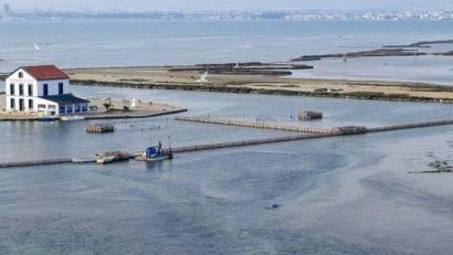 Obra nueva - Villa -
San Pedro del Pinatar - Los Plazas