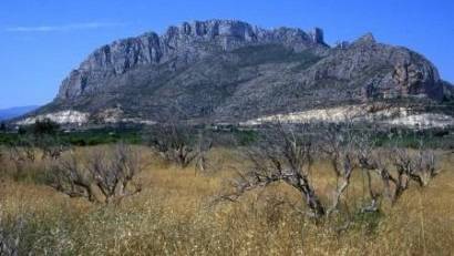 Nyproduktion - Apartment -
El Verger