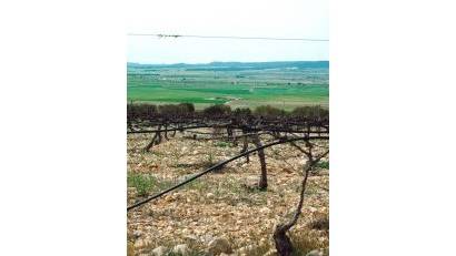 Nyproduktion - Villa -
Yecla