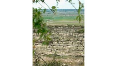 Nyproduktion - Villa -
Yecla