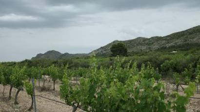 Obra nueva - Villa -
Yecla