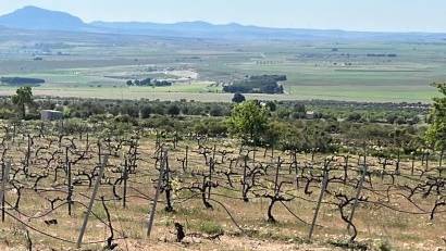 Obra nueva - Villa -
Yecla