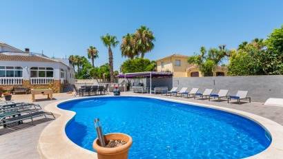 Reventa - Finca -
Catral