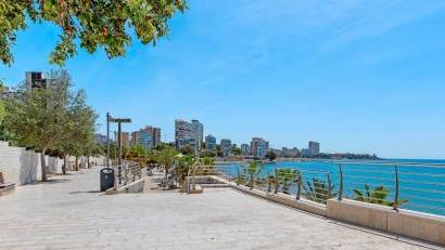 Resale - Apartment -
Alicante