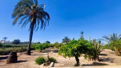 Resale - Finca -
La Marina