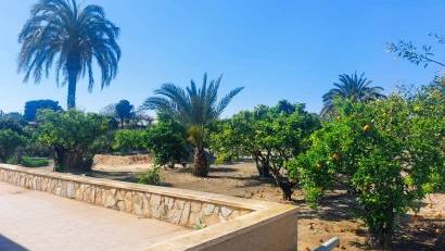 Resale - Finca -
La Marina