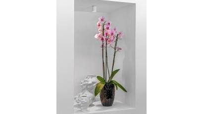 Återförsäljning - Villa -
Guardamar del Segura