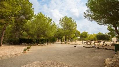 Återförsäljning - Finca -
Torremendo