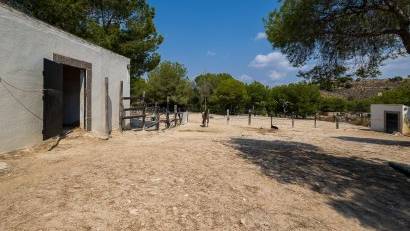 Återförsäljning - Finca -
Torremendo