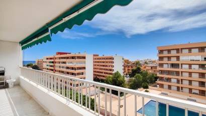 Reventa - Apartment -
Torrevieja