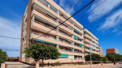 Reventa - Apartment -
Torrevieja