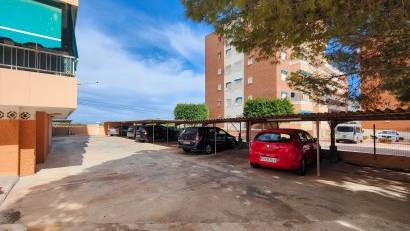 Reventa - Apartment -
Torrevieja