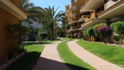 Återförsäljning - Apartment -
Punta Prima - La Entrada