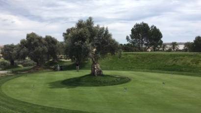 New Build - Villa -
Algorfa