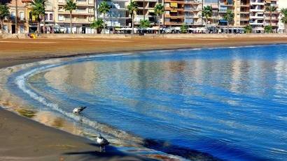 Obra nueva - Adosado -
Fuente Álamo - La Pinilla