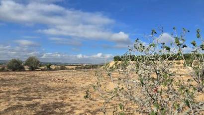 Resale - Finca -
Los Montesinos